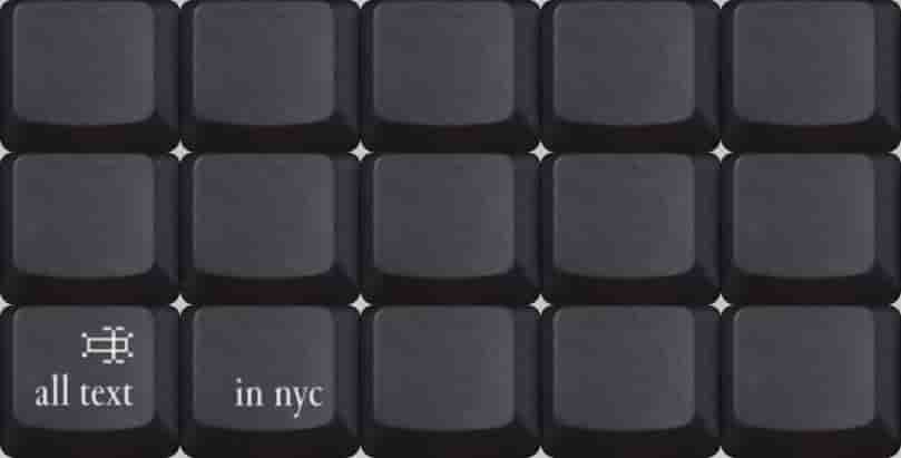 Cover image for all text in nyc